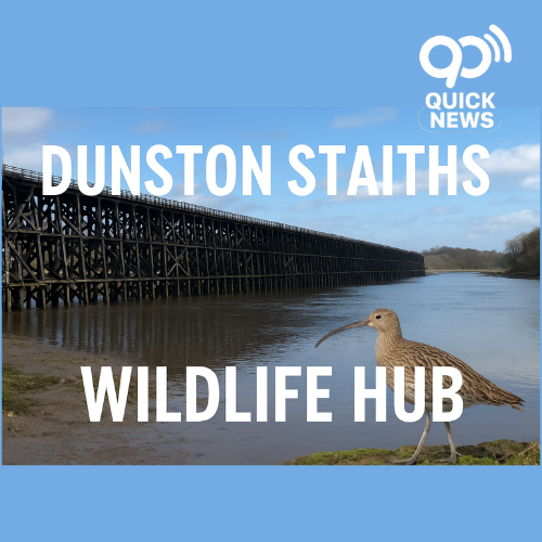 Dunston Staiths in Gateshead transformed from a historic coal shipping structure into a thriving wildlife habitat with birds and otters along the River Tyne."