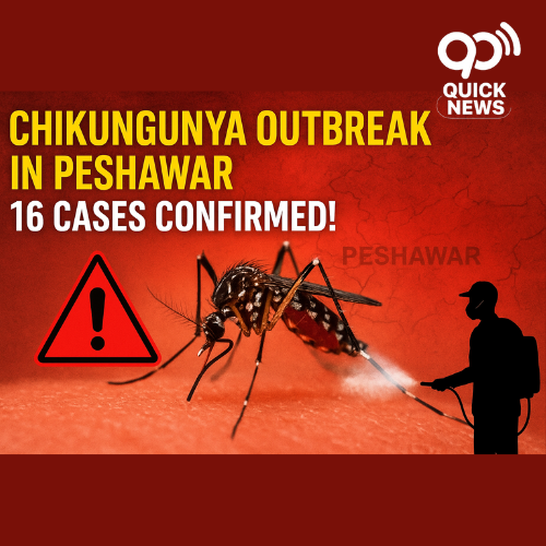 “Breaking news thumbnail showing a mosquito on human skin with a danger alert and text ‘Chikungunya Outbreak in Peshawar – 16 Cases Confirmed’ highlighting health emergency.”