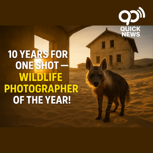 A rare brown hyena stands in the abandoned ghost town of Kolmanskop, Namibia, captured by photographer Wim van den Heever after 10 years — winner of Wildlife Photographer of the Year 2025.